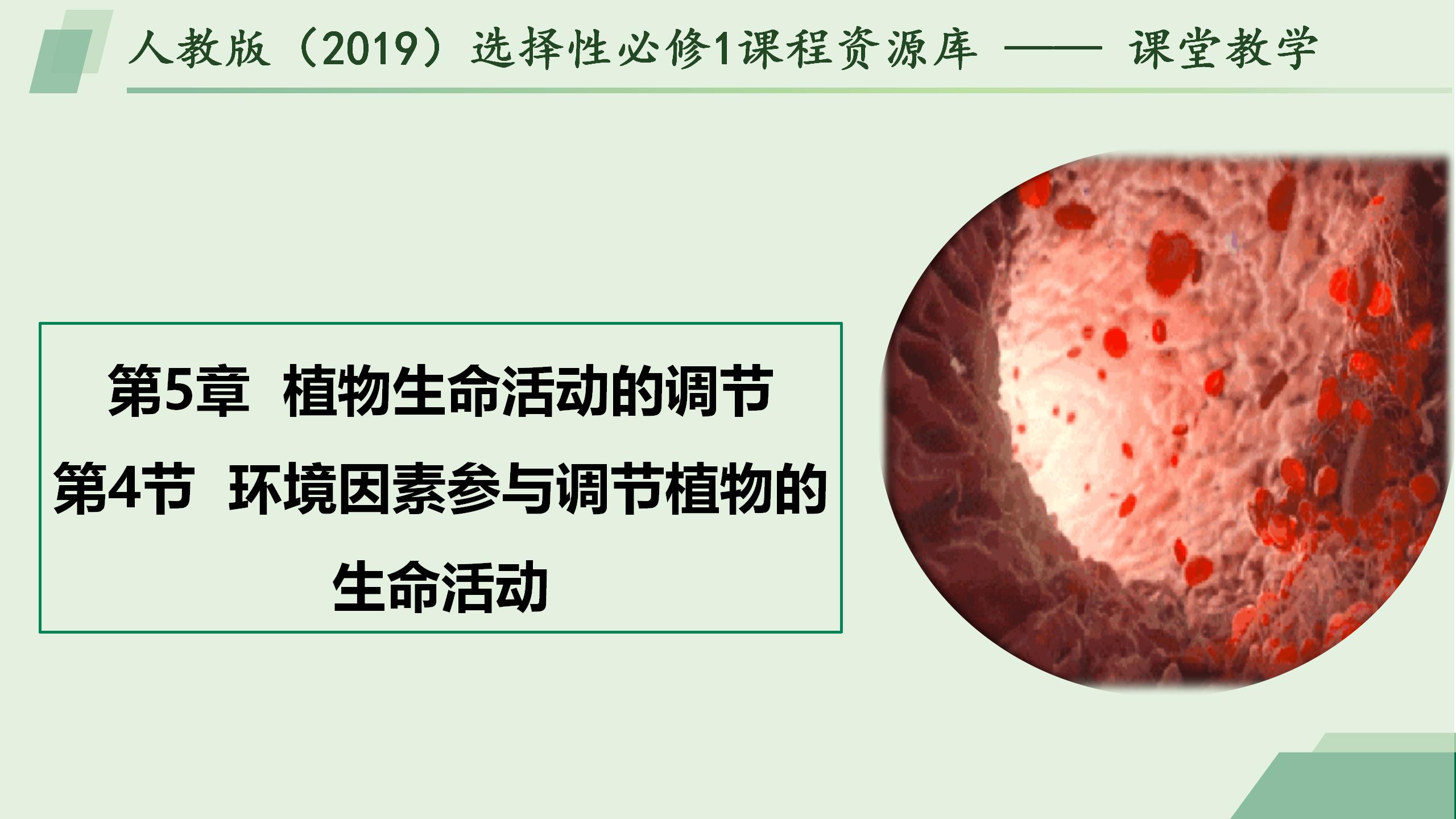 5.4环境因素参与调节植物的生命活动