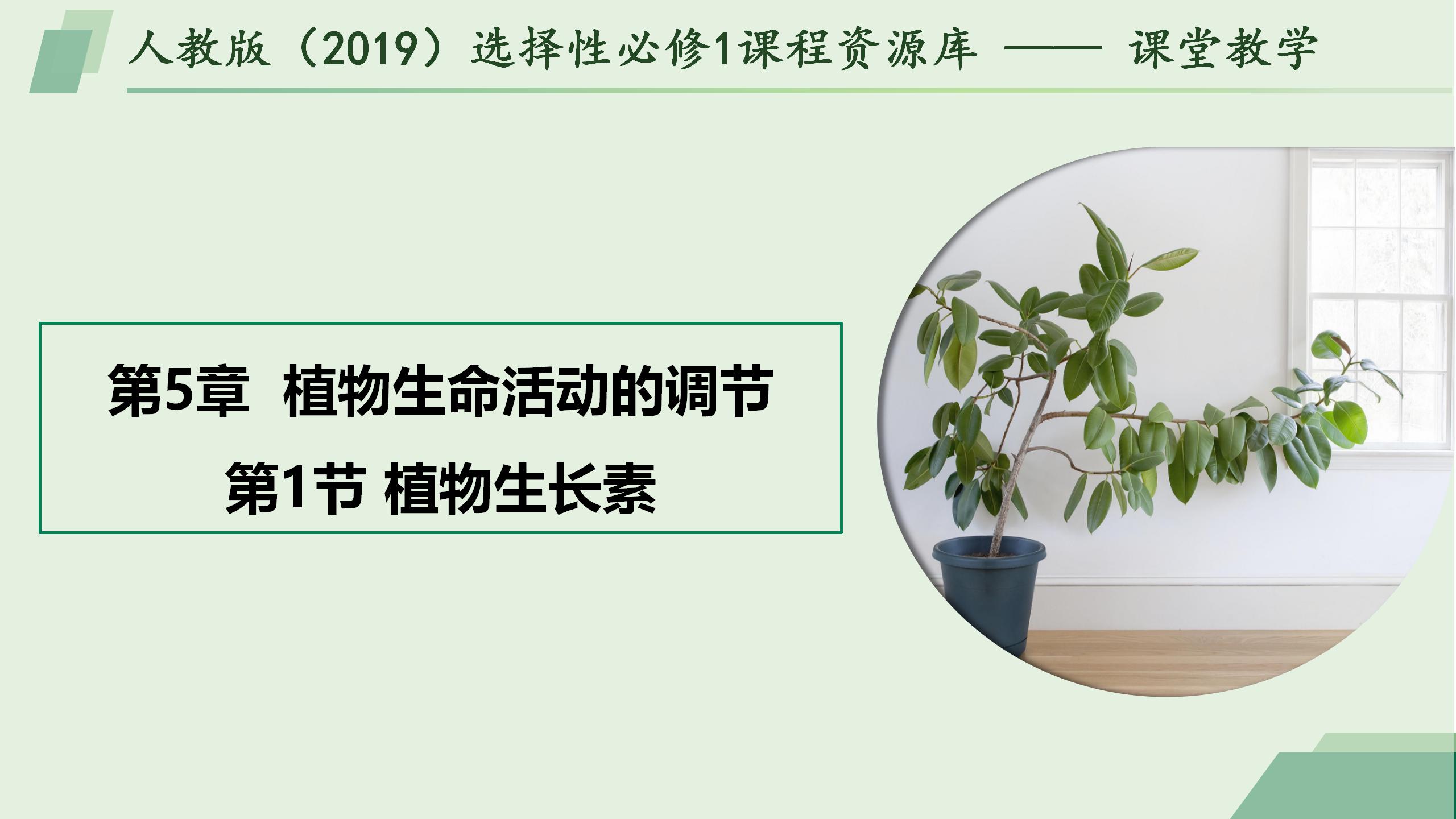 5.1植物生长素