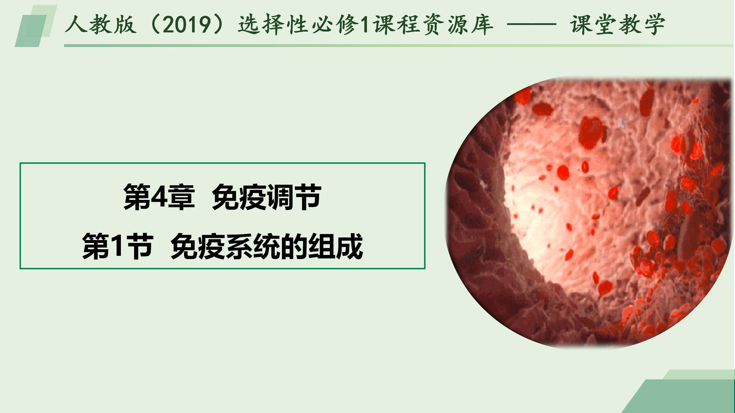 4.1免疫系统的组成和功能