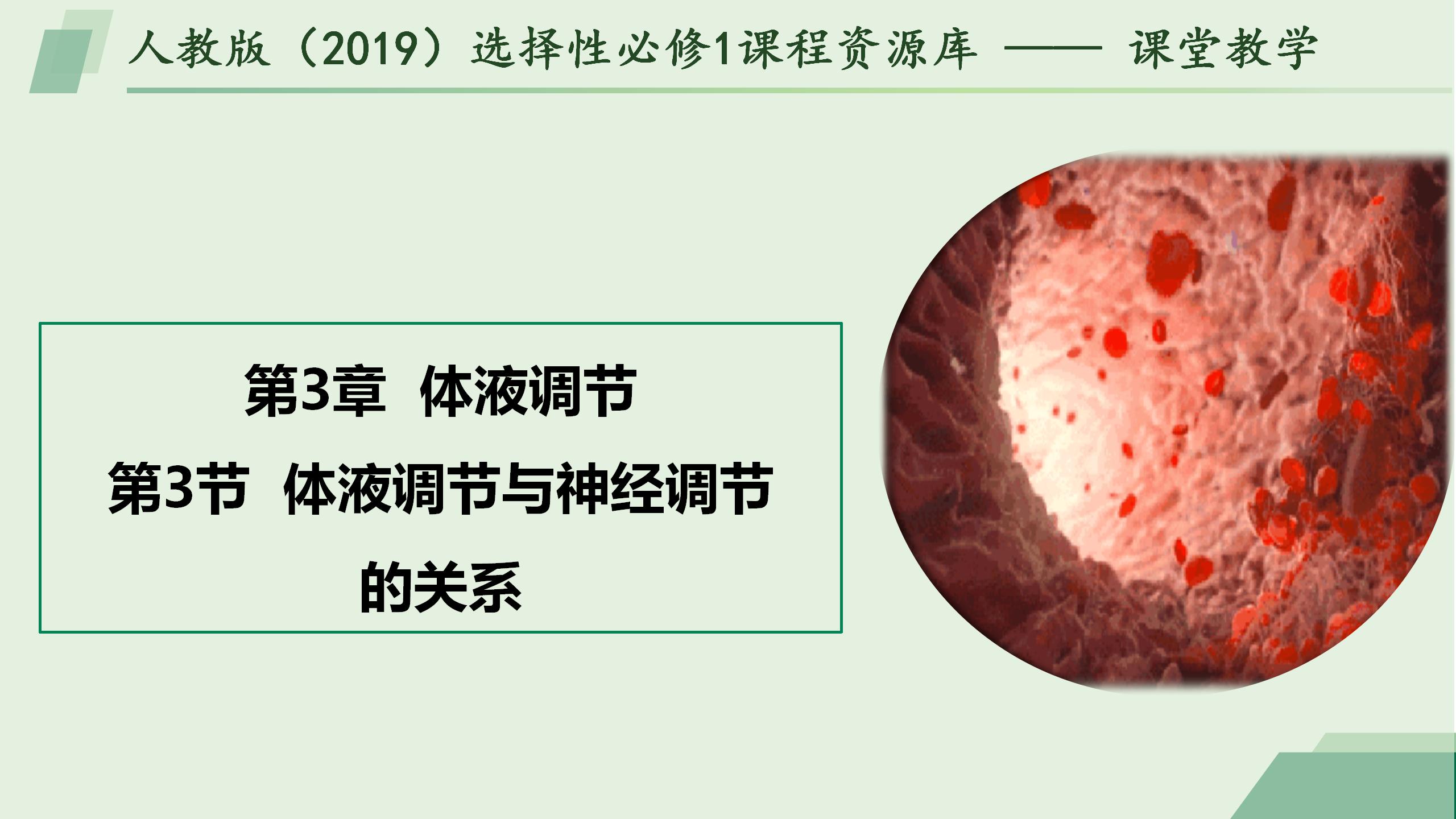 3.3体液调节与神经调节的关系