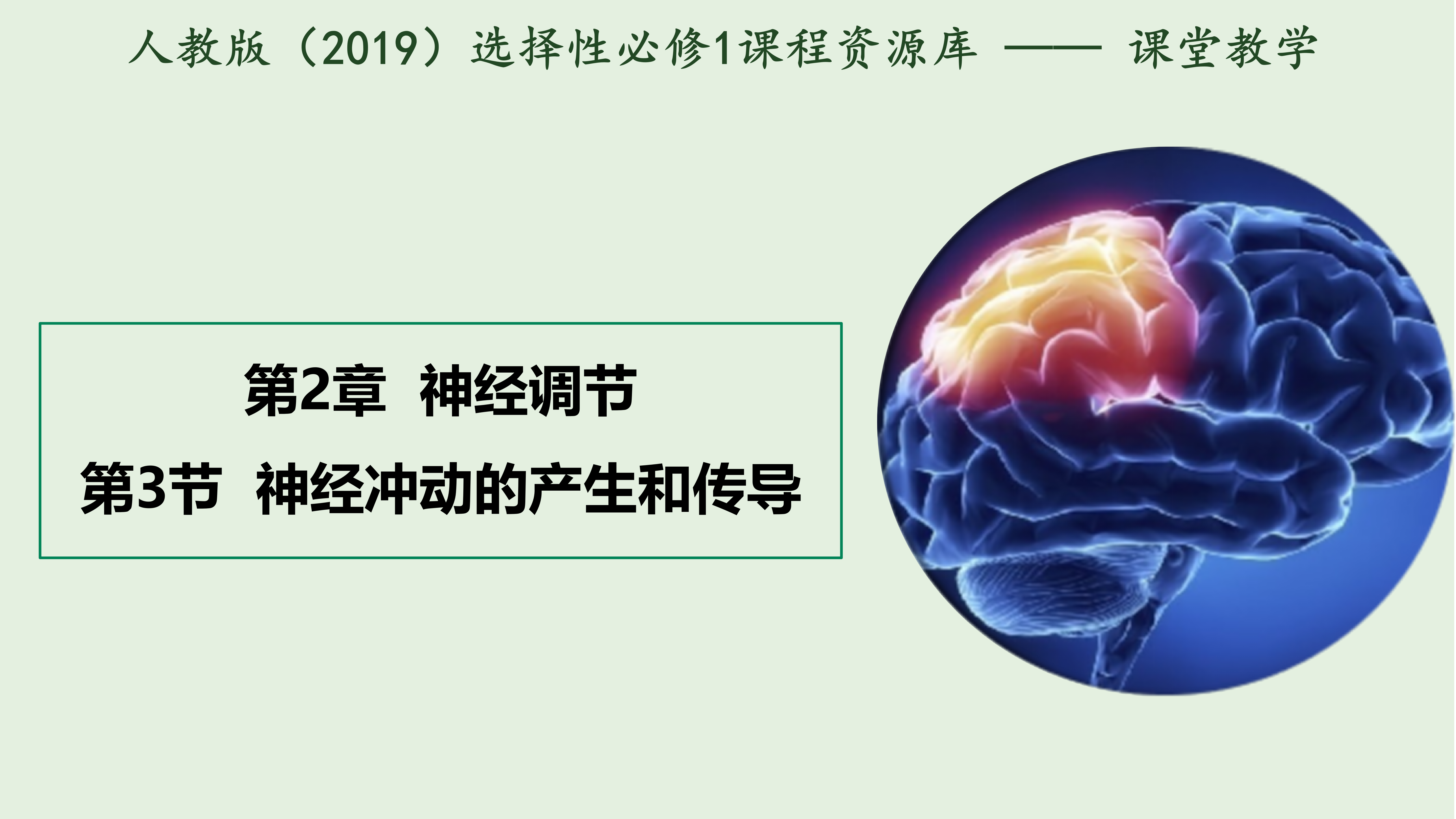 2.3神经冲动的产生与传导