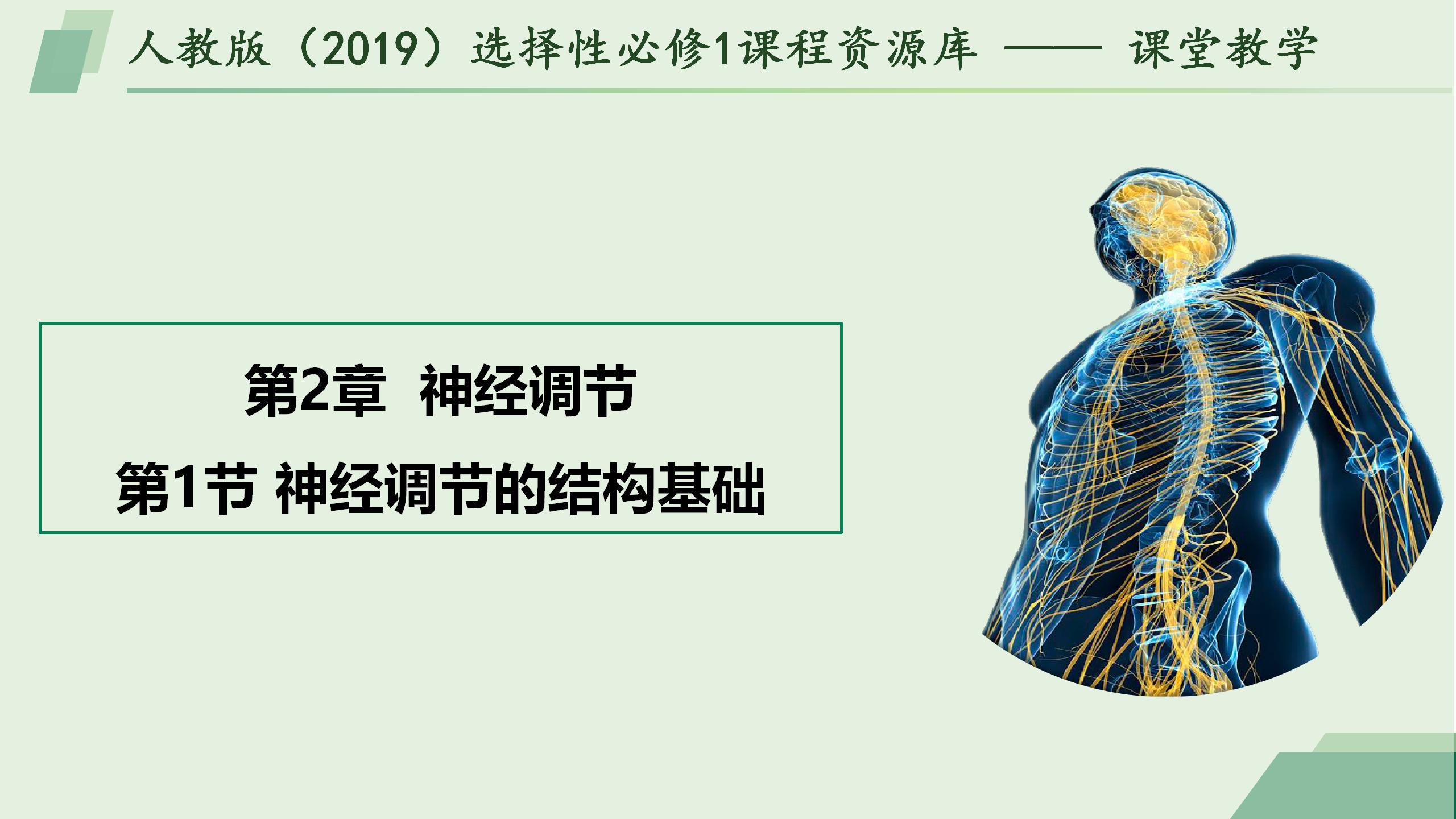 2.1神经调节的结构基础