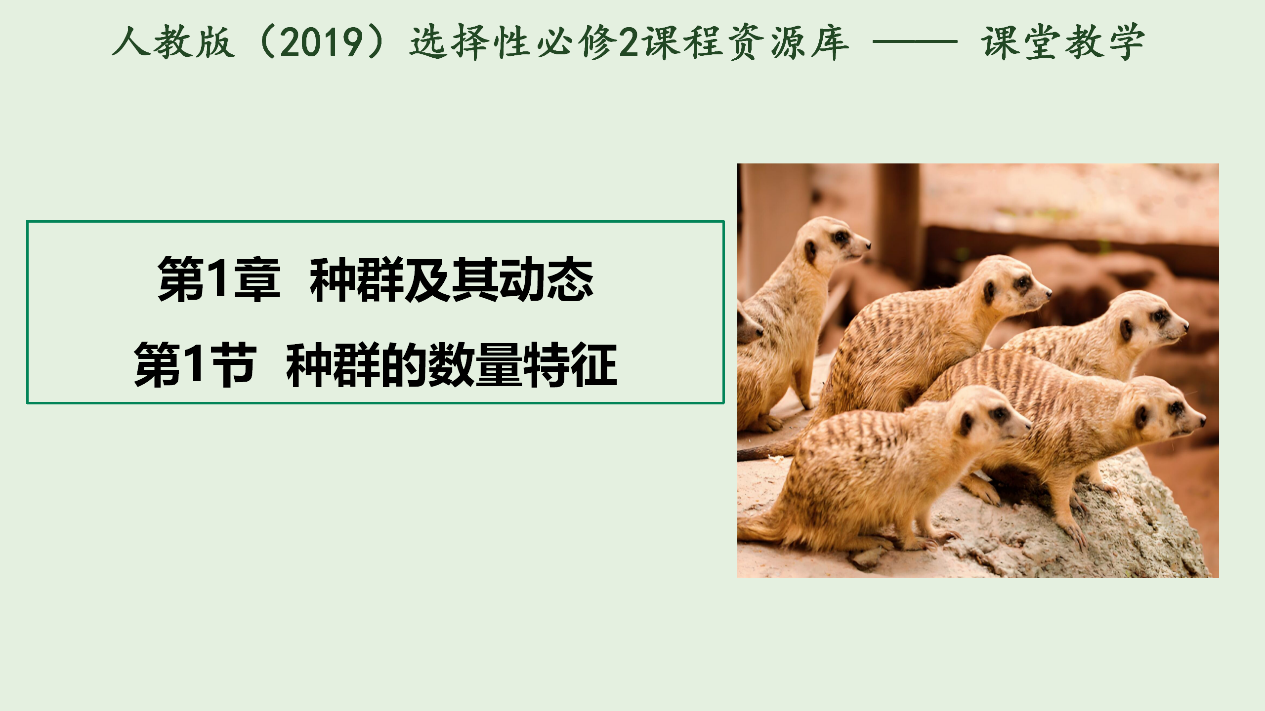 1.1 种群的数量特征