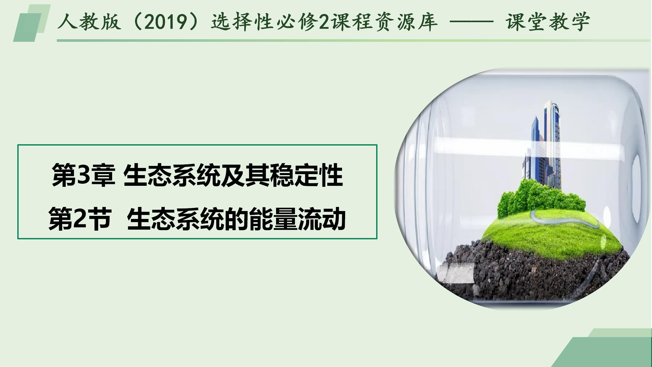 3.2 生态系统的能量流动