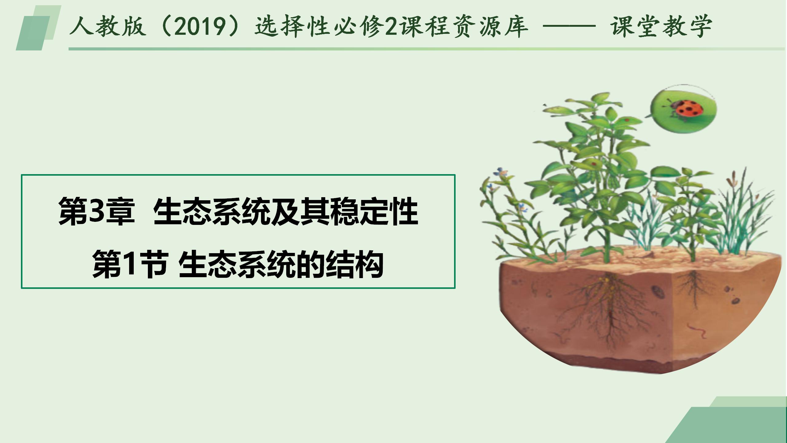 3.1 生态系统的结构
